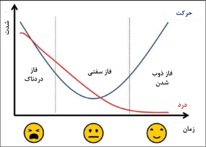 انواع شانه یخ زده 